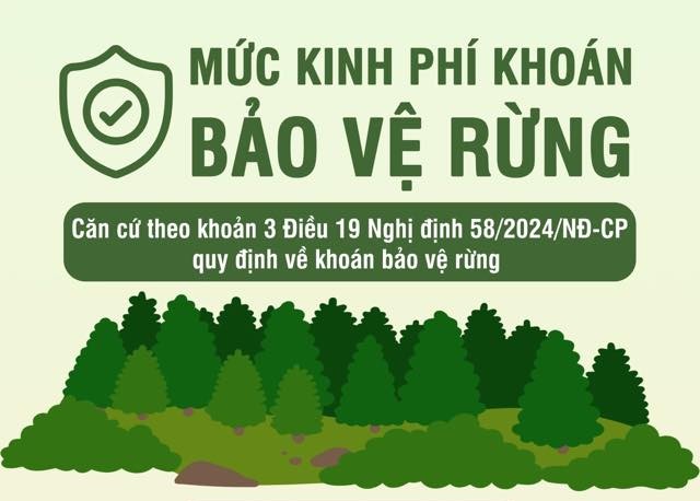 Mức kinh phí khoán bảo vệ rừng