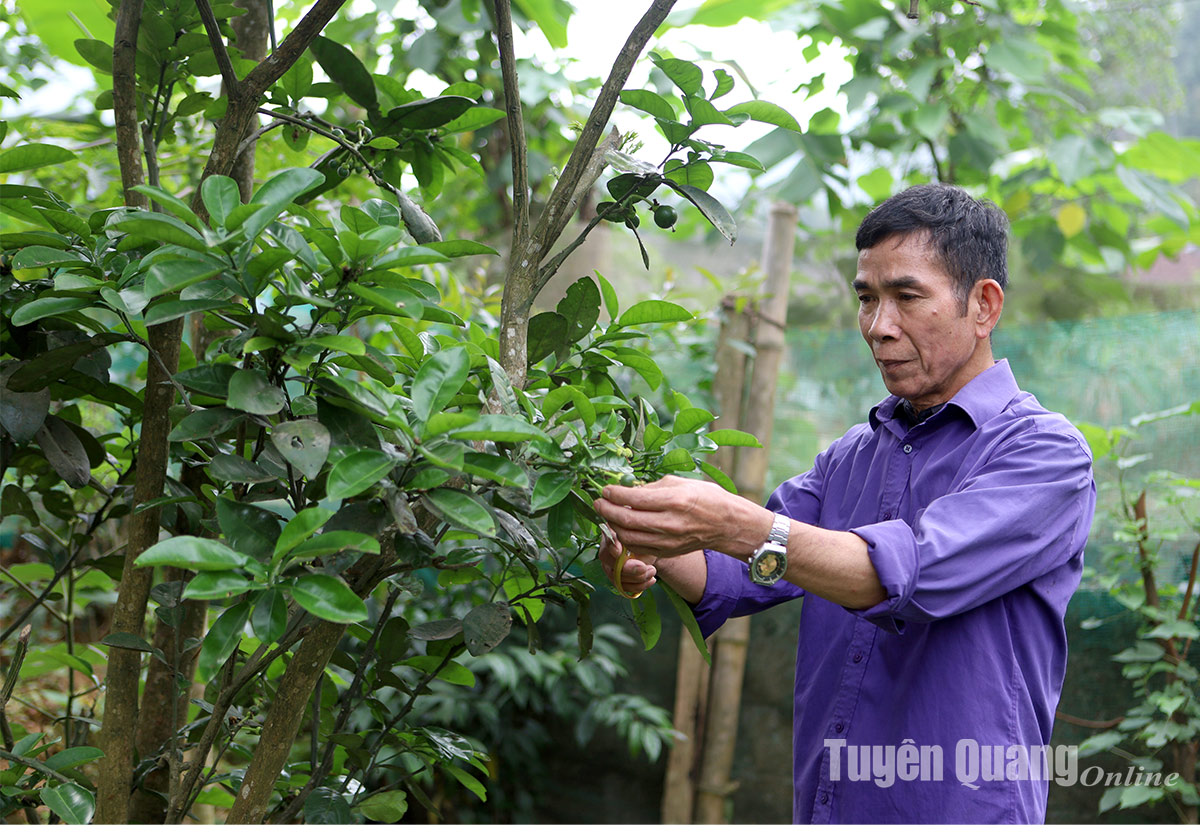 Chuyện vận động của ông Lâm