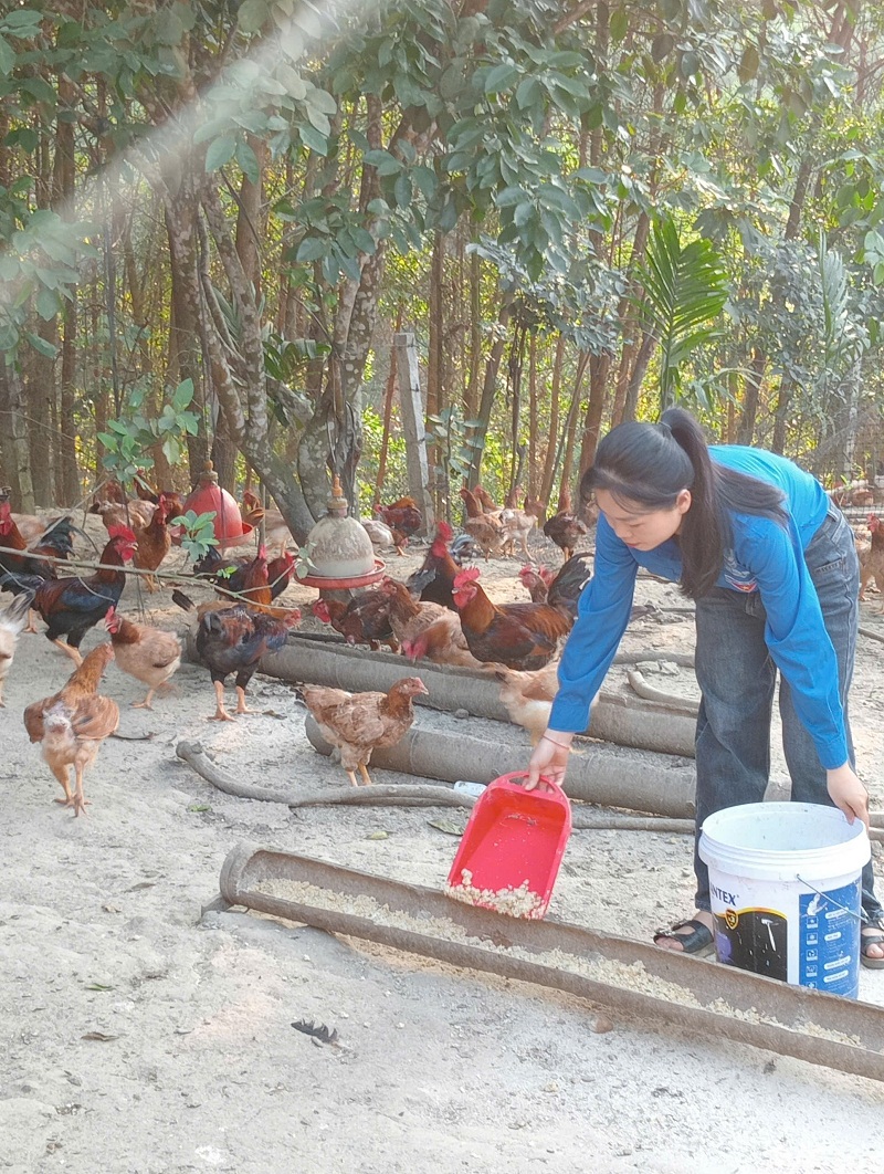 Gương Đoàn viên trẻ làm giàu từ chính mảnh đất quê hương